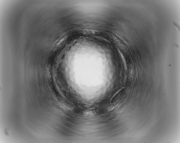 X0000095510616200712281439