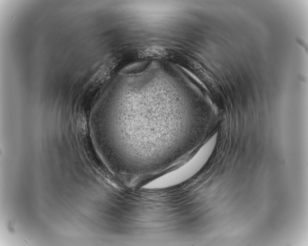X0000095510617200712281439