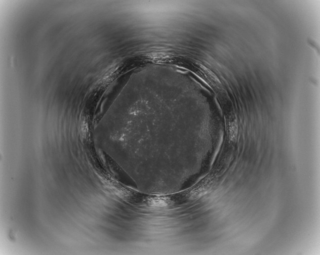 X0000095510618200712281439