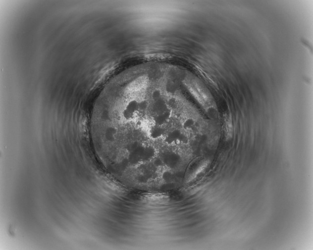 X0000095510619200712281439