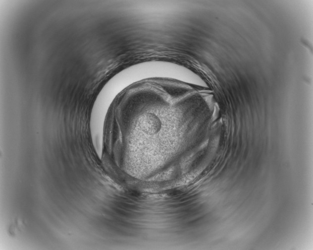 X0000095510621200712281439