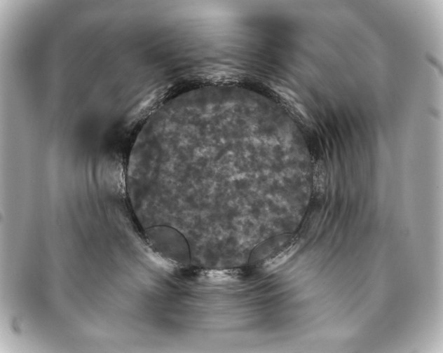 X0000095510622200712281439