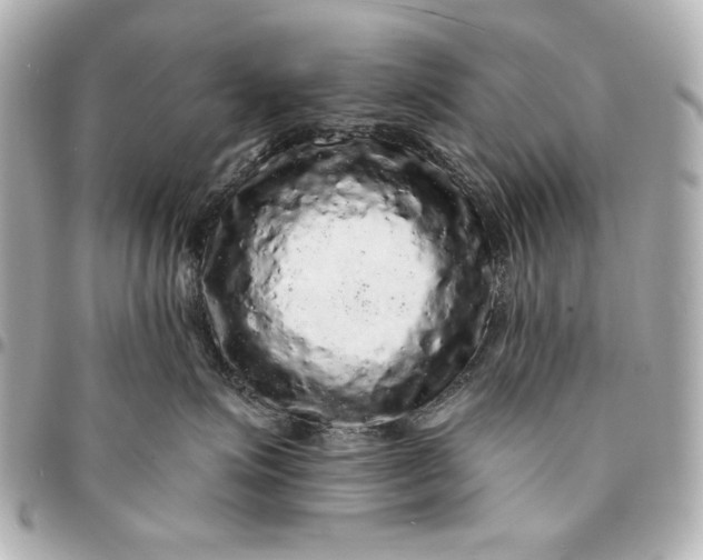 X0000095510623200712281439