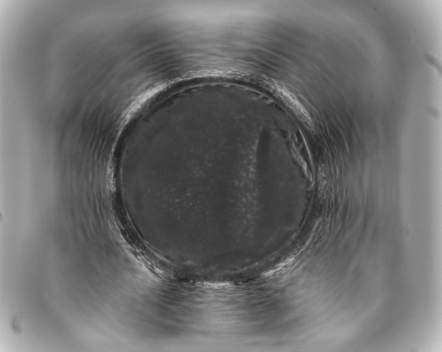 X0000095510628200712281438