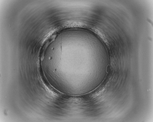 X0000095510629200712281438