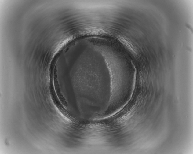 X0000095510630200712281438