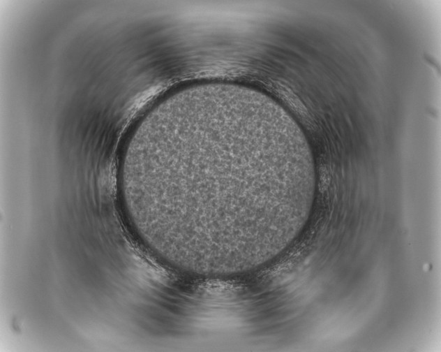 X0000095510632200712281438