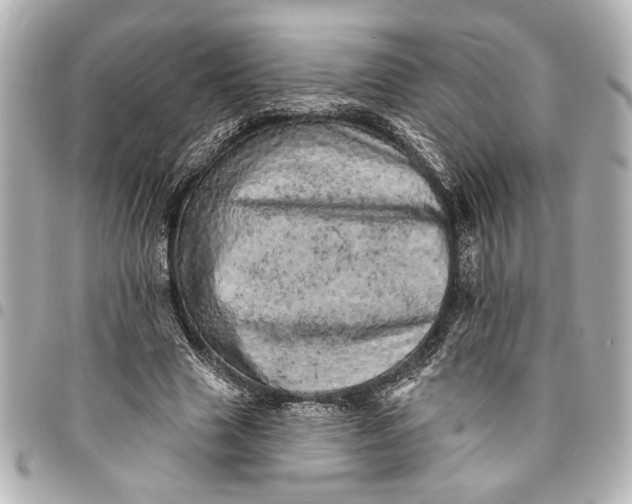 X0000095510633200712281438