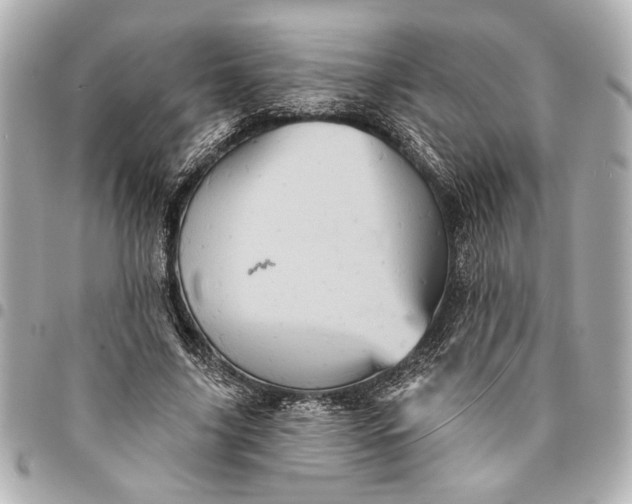 X0000095510635200712281438