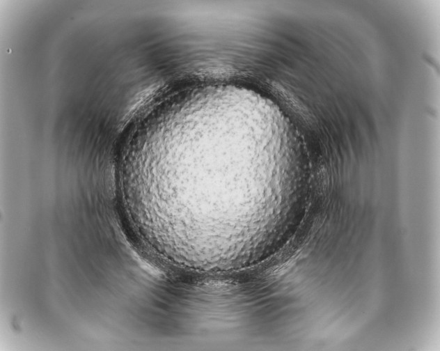 X0000095510638200712281438