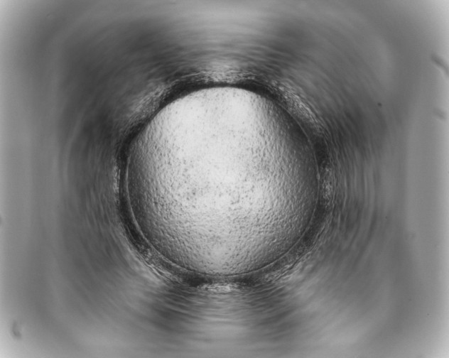 X0000095510639200712281438