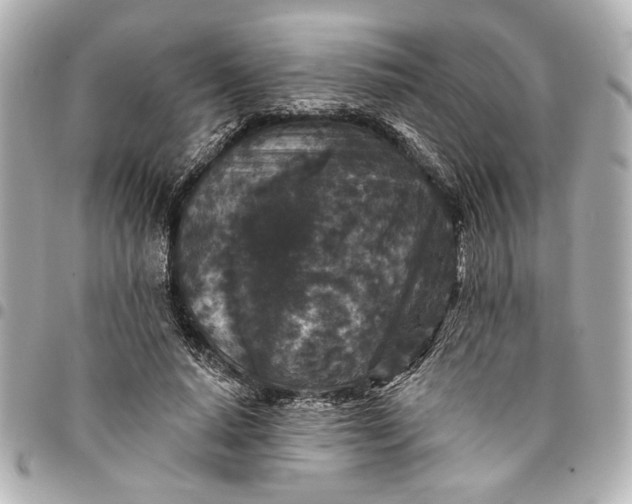 X0000095510640200712281438