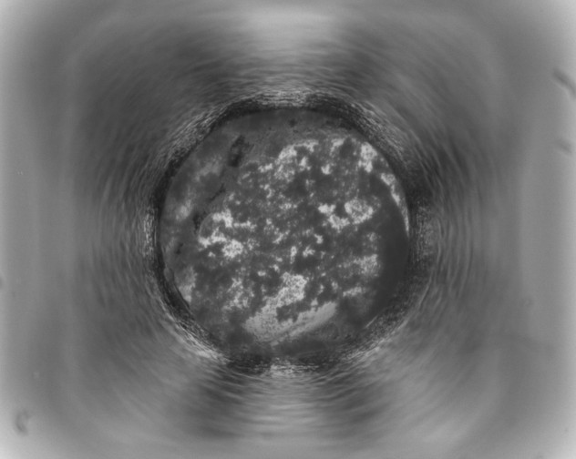 X0000095510641200712281438