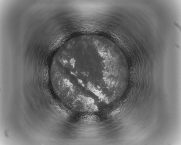 X0000095510642200712281438