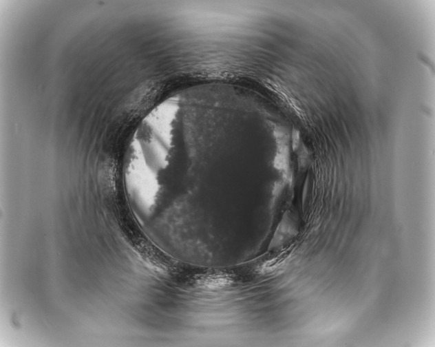 X0000095510643200712281439