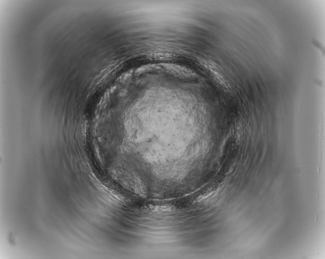 X0000095510645200712281439