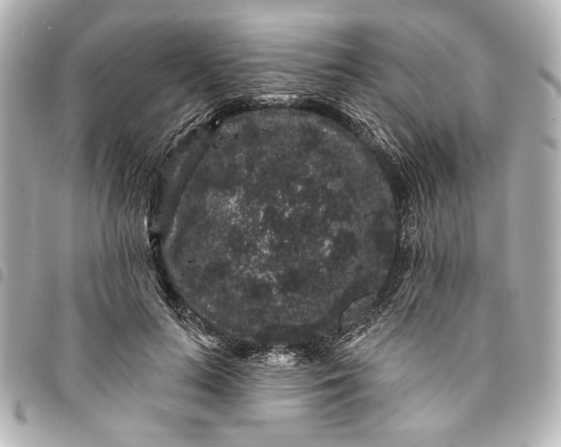 X0000095510647200712281439