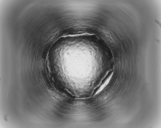 X0000095510649200712281439