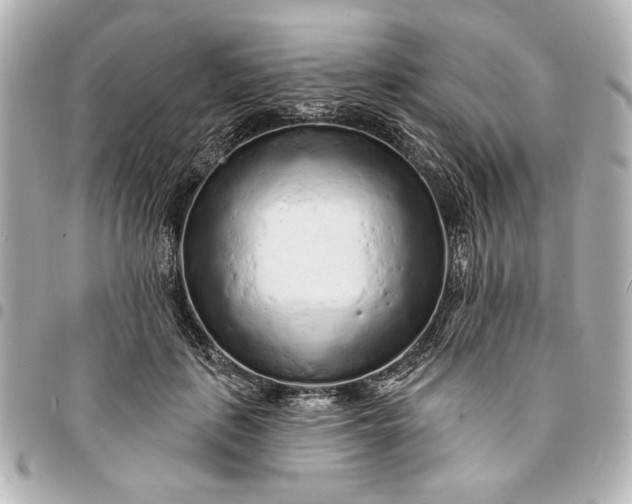 X0000095510651200712281439