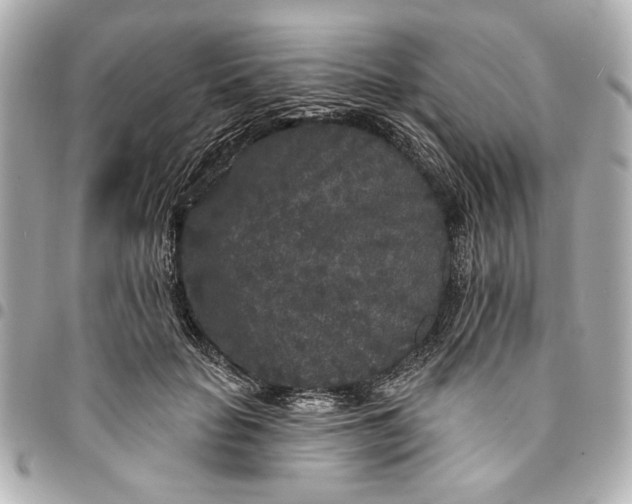 X0000095510653200712281439