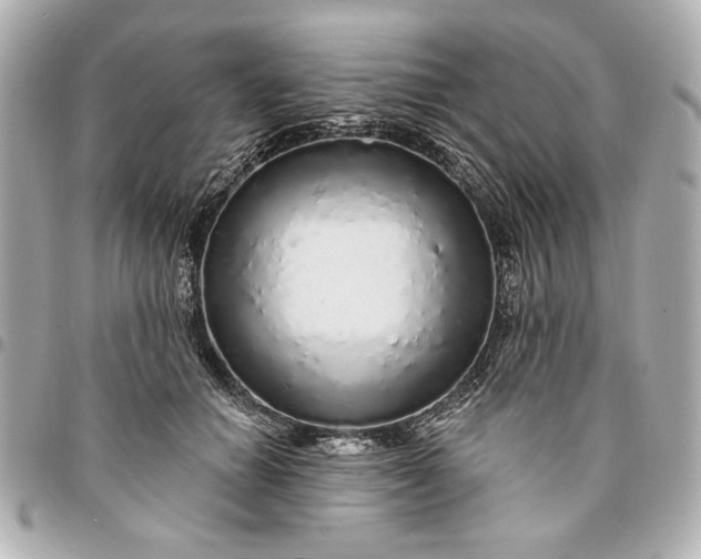 X0000095510654200712281439