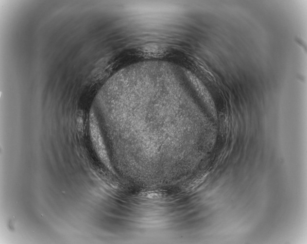 X0000095510655200712281439
