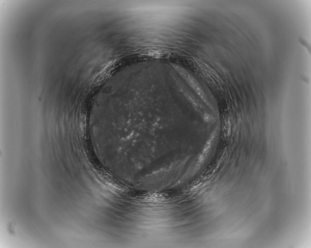 X0000095510656200712281439