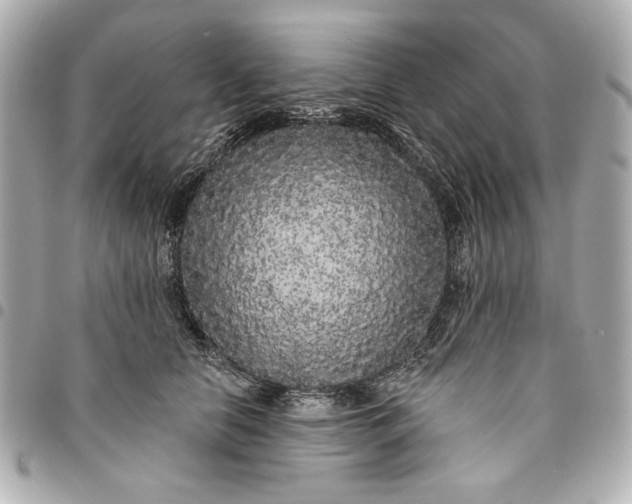 X0000095510658200712281439