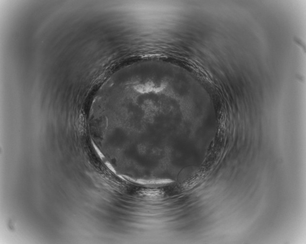 X0000095510659200712281439
