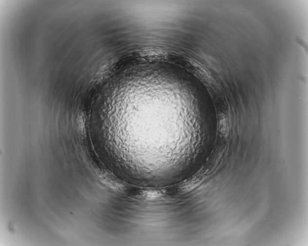 X0000095510662200712281439