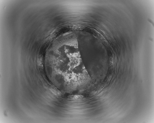 X0000095510663200712281439