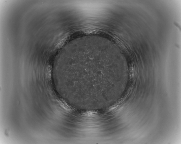 X0000095510664200712281439