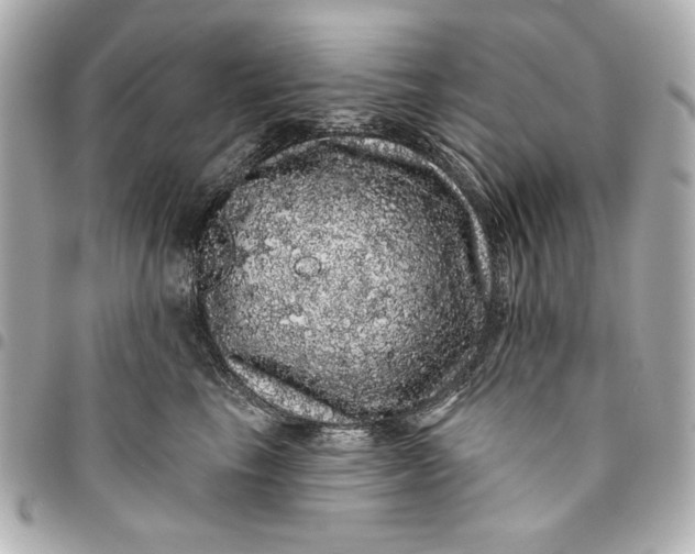 X0000095510665200712281439