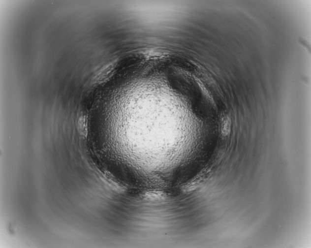 X0000095510666200712281439