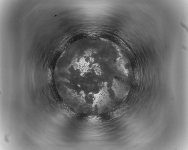 X0000095510667200712281439