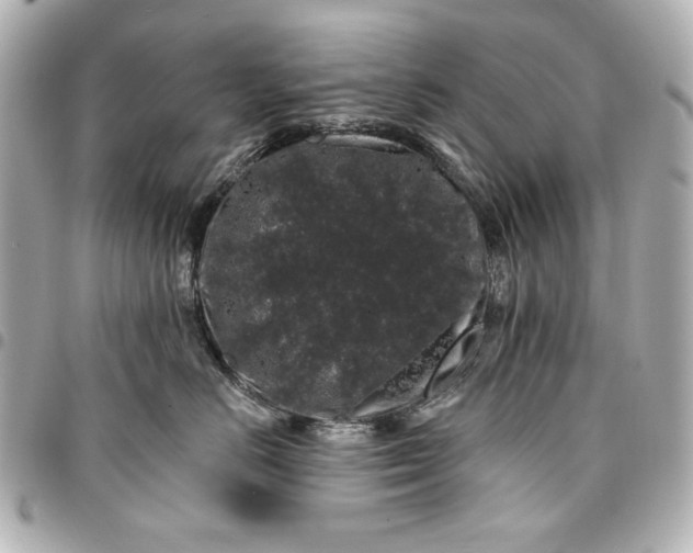 X0000095510670200712281439