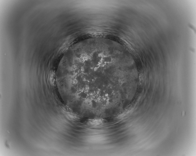 X0000095510671200712281439