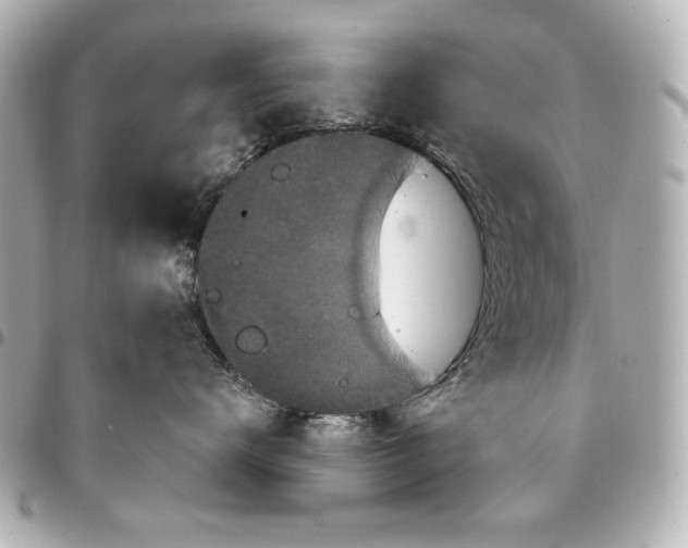 X0000095510672200712281439