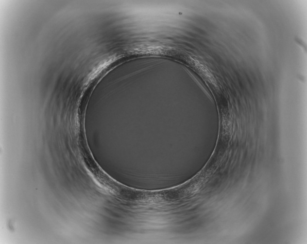 X0000095510674200712281438