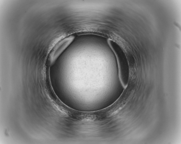 X0000095510676200712281438