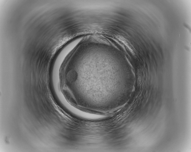 X0000095510677200712281438