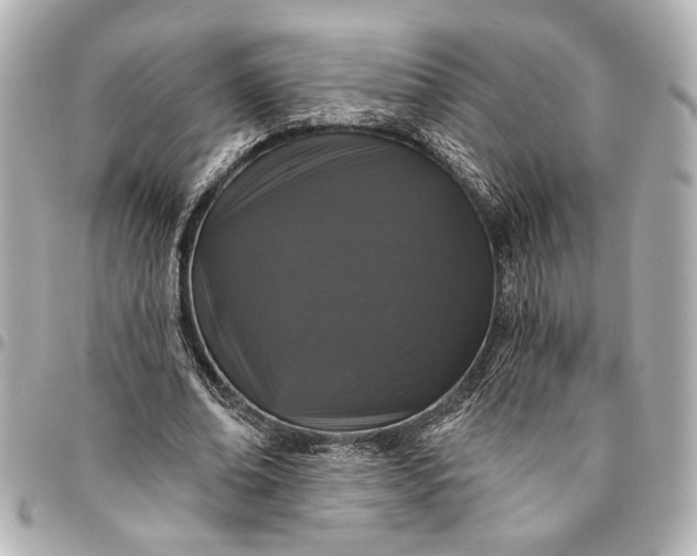 X0000095510678200712281438