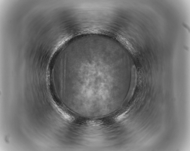 X0000095510680200712281438