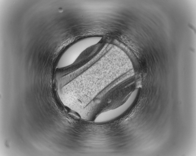X0000095510681200712281438