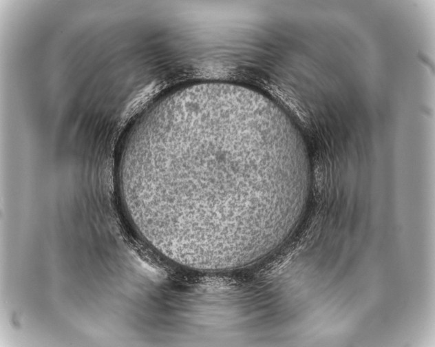 X0000095510682200712281438