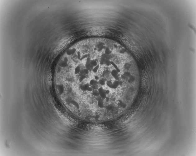 X0000095510683200712281438