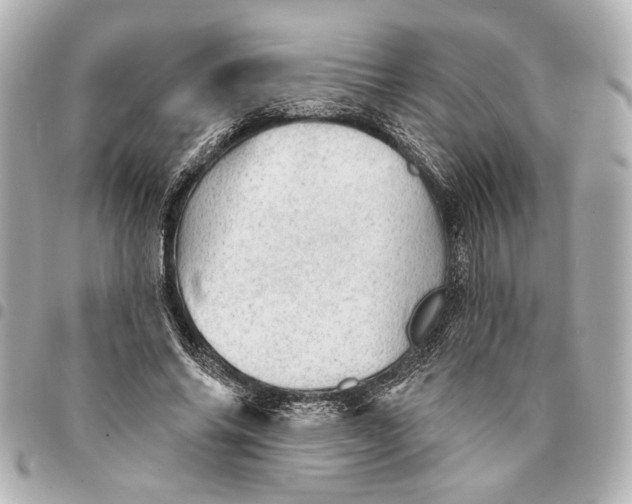X0000095510686200712281438