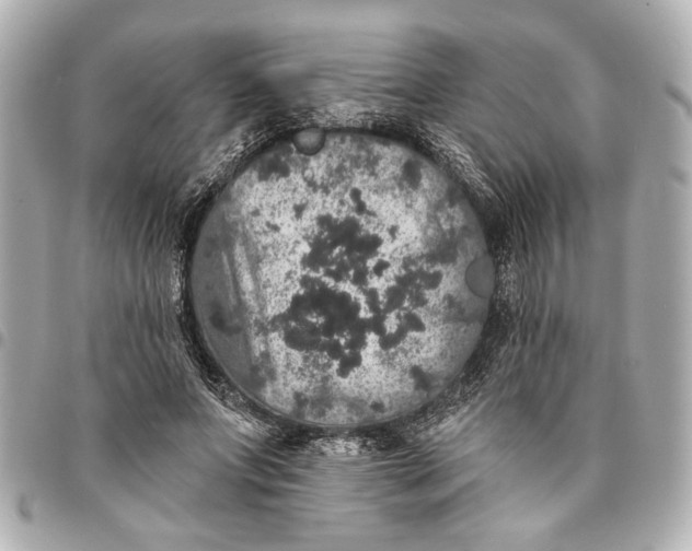 X0000095510687200712281438
