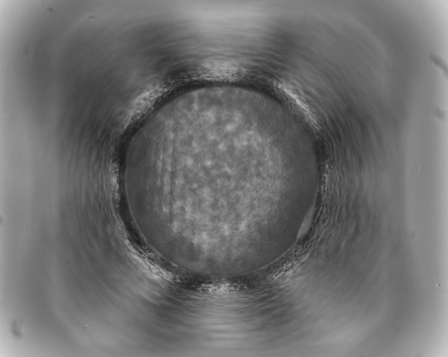 X0000095510688200712281438