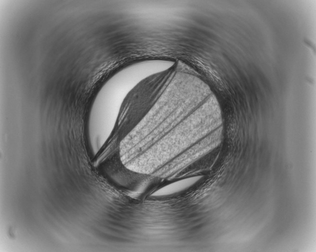 X0000095510689200712281438